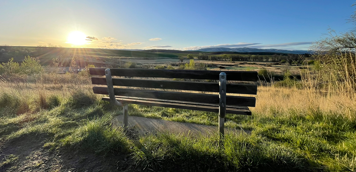 Sunrise walk with a friend at Bennington Lake