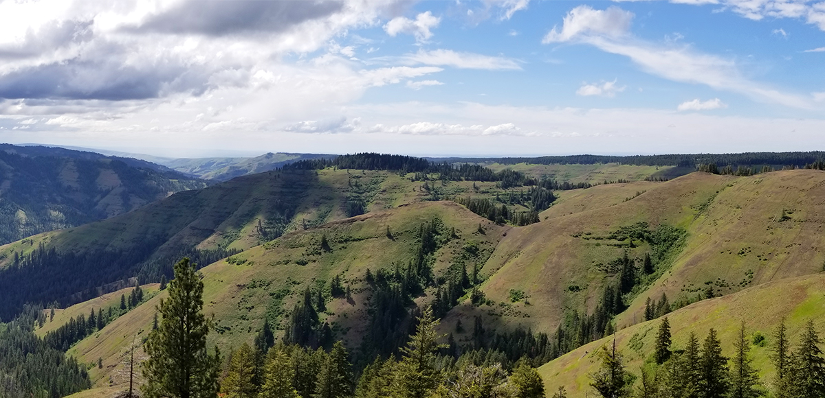 The Grouse Mountain Trail is a show stopper. This family friendly trail is a staple outdoor activity in the Blue Mountains.
