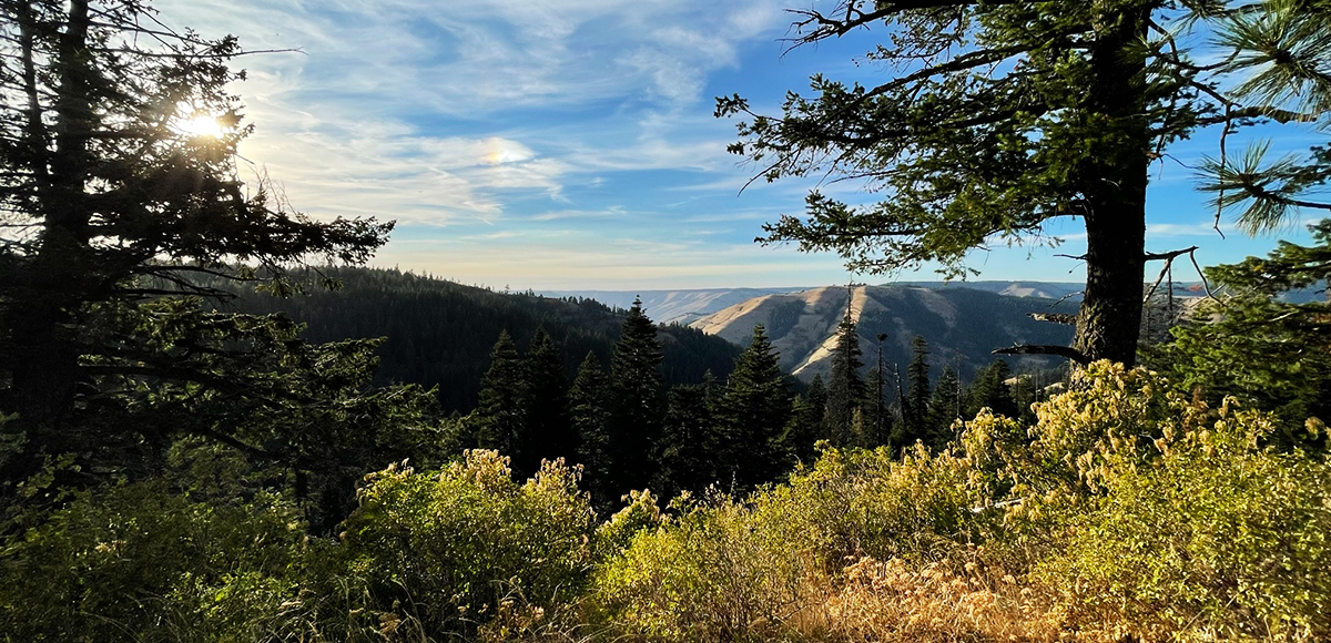 Buck Mountain Trail, Umatilla National Forest